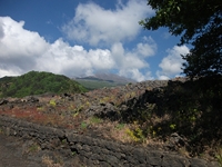 nte Rinatu-20110615 009